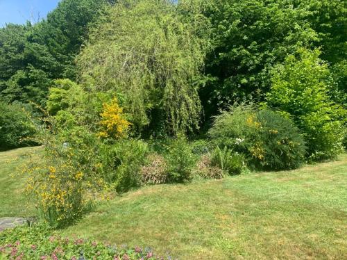 a garden with a bunch of bushes and trees at La Maison Ardoise in Herbeumont