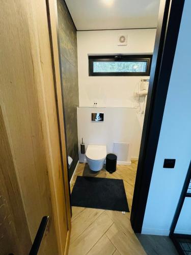 a small bathroom with a toilet and a window at Шишка in Bukovel