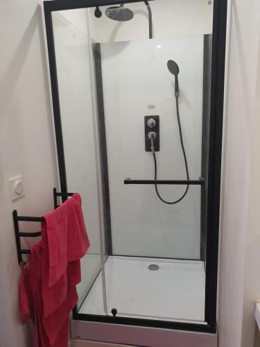 a bathroom with a shower with a red towel at Plat Gousset - RDC in Granville
