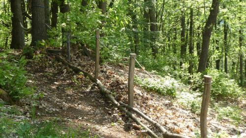 a rope fence on a trail in the woods at Cascina Marasca Appartamento Viola in Martina Olba
