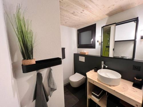 een badkamer met een wastafel, een toilet en een spiegel bij studio suite 2 im fresh-cube 