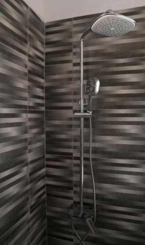 a shower with a shower head in a bathroom at Raptis Guest House in Tsilivi