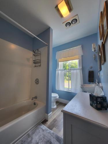 a bathroom with a tub and a toilet and a sink at The Fox and the Grapes in Lodi