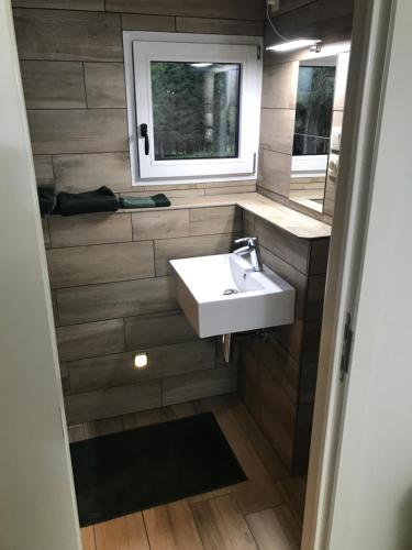 ein Bad mit einem Waschbecken und einem Spiegel in der Unterkunft dardennen in La-Roche-en-Ardenne
