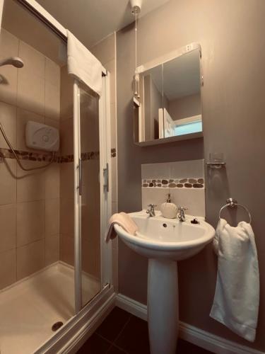 a bathroom with a sink and a shower at Summer Cottage in Kinsale Free Car Parking Included in Kinsale