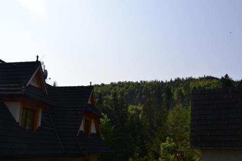 un techo de una casa con árboles en el fondo en Studio Relaks, en Kościelisko