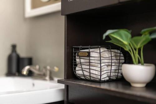 a plant in a pot on a counter next to a sink at Parma Home w/ Hot Tub and Arcade room! in Parma