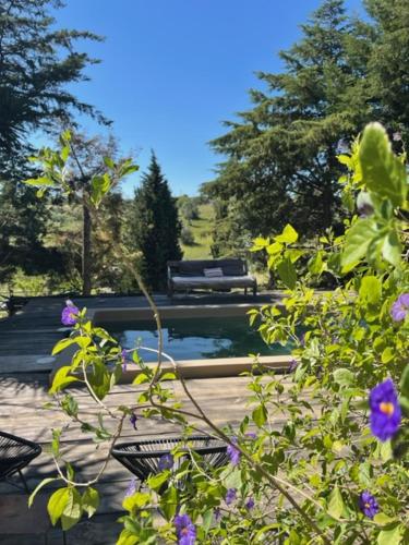 un parque con un banco y un estanque con flores púrpuras en Dominio Vale Flores, en Advagar