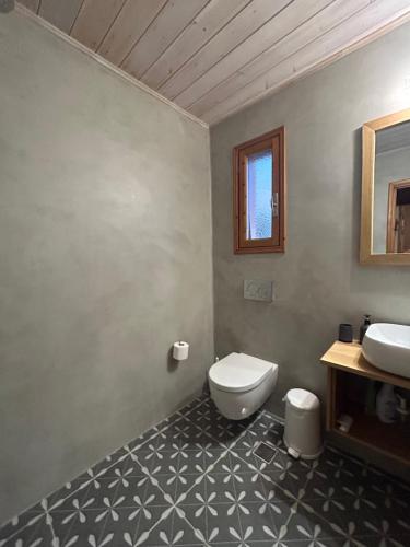 a bathroom with a toilet and a sink at Porto Katsiki Guest Houses in Athanion