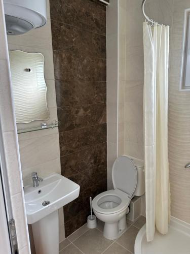 een badkamer met een toilet en een wastafel bij Apartments Flamida in Ulcinj