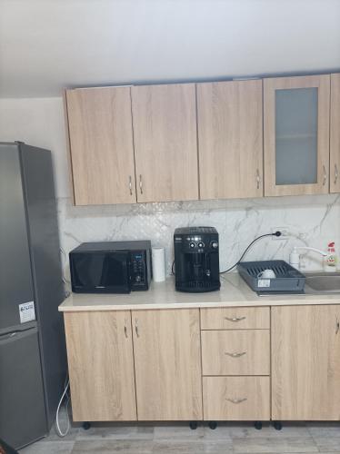 a kitchen with a counter with a microwave and a microwave at Casa Alexia in Coronini