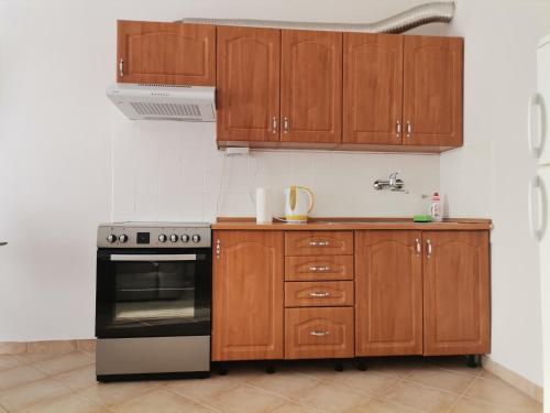 Kuchyňa alebo kuchynka v ubytovaní Apartment Coco