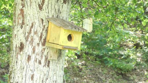 a wooden bird house hanging on a tree at Cascina Marasca Appartamento Sole in Martina Olba