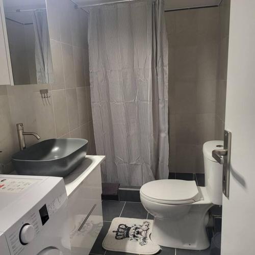 a bathroom with a toilet and a sink at Μοντέρνο διαμέρισμα στη Βέροια (LIBERTY) in Veria