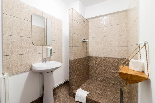 bagno con doccia, lavandino e servizi igienici di Resort 7 Crai - Cabana Craiul Crailor a Zărneşti