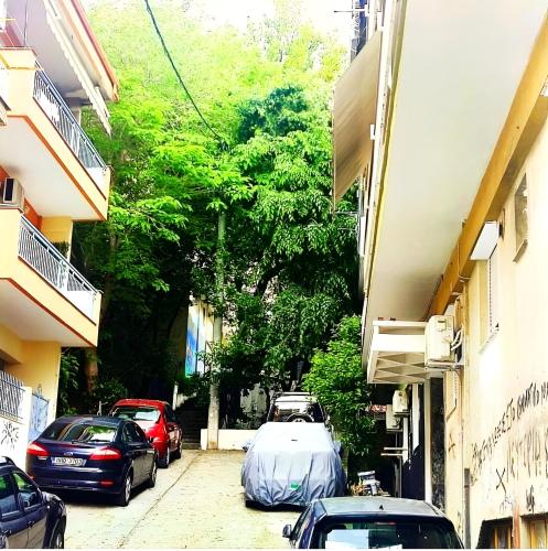 Stelmar apartment