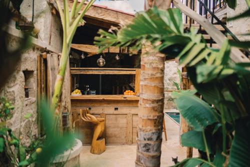 a kitchen with a counter in a room with plants at Suare Alaçatı in Alaçatı