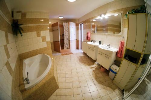 a large bathroom with a tub and a sink at Apartmány Neronet in Velké Pavlovice