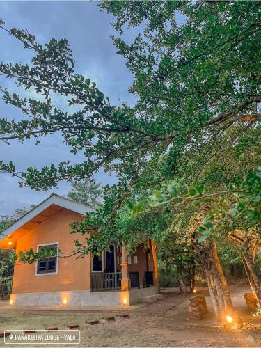 a small house with lights in front of it at Ranakeliya Lodge - Yala in Yala