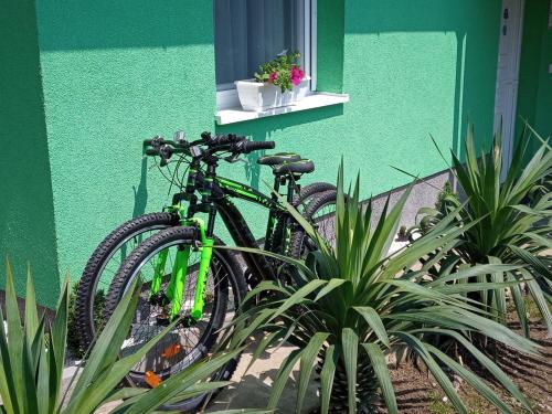 twee fietsen geparkeerd naast een groen gebouw met planten bij Ruralna kuća za odmor Viktorija in Čaglin