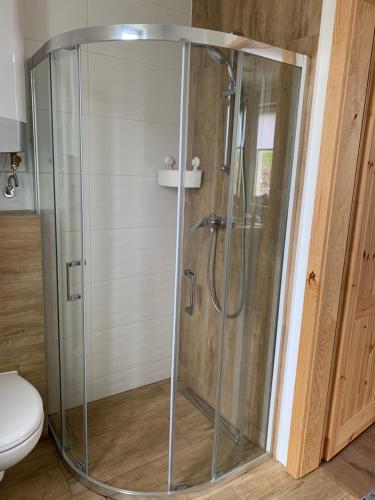 a glass shower in a bathroom with a toilet at Kaszubska Osada Domki z Balią in Tuchomie