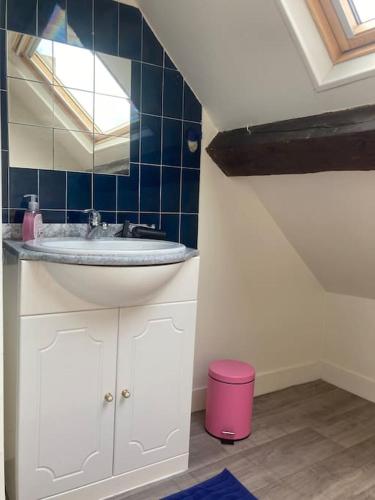 une salle de bain avec un lavabo et un miroir dans l'établissement Appartement duplex de charme, à Rouen