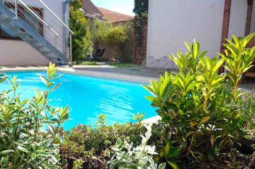 a swimming pool with plants in front of a house at Apartmány Neronet in Velké Pavlovice