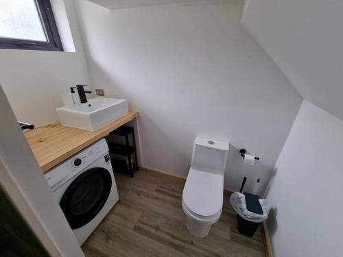 a small bathroom with a toilet and a sink at Espectacular casa en Frutillar in Frutillar