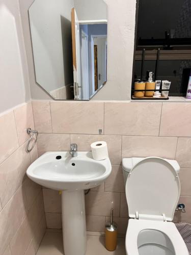 a bathroom with a sink and a toilet and a mirror at GoldenWays Apartments in Mbabane