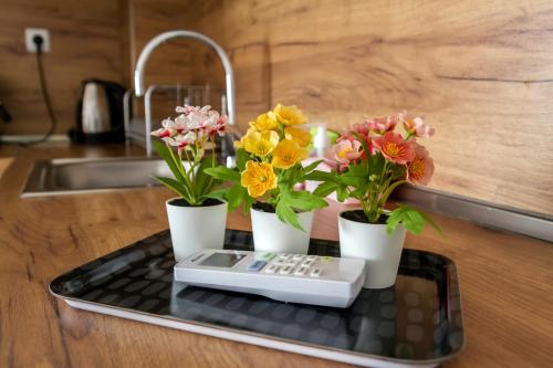 巴爾奇克的住宿－D'arte Apart，一个带三朵花的托盘和一个遥控器