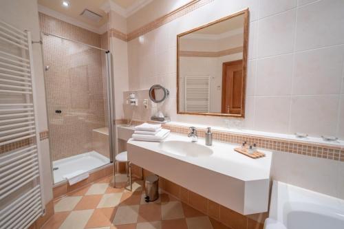a bathroom with a sink and a shower and a mirror at Genießerhof Haimer - Hotel Garni in Poysdorf