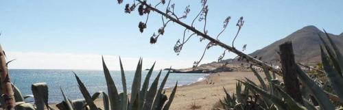 a view of a beach with a mountain and the ocean at HOSTAL CASA EMILIO in Almería