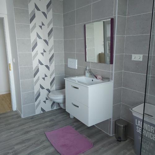 y baño con lavabo, aseo y espejo. en Charmant appartement proche Carcassonne, en Montgradail
