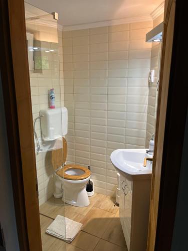 a bathroom with a toilet and a sink at Árnyas Vendégház in Badacsonytomaj