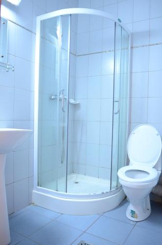 a bathroom with a shower and a toilet at Pensiunea Valea Ursului in Bascov