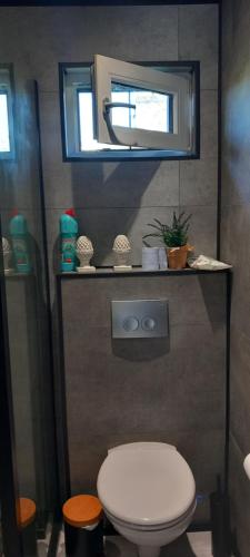 een badkamer met een wit toilet en een spiegel bij Luxe Recreatie Bungalow NO 10 in Scherpenisse