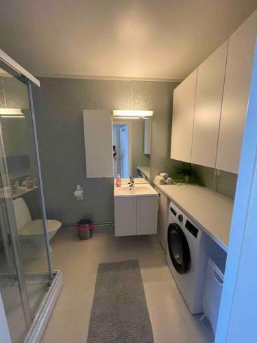uma pequena cozinha com um lavatório e uma máquina de lavar roupa em 4-mannsbolig sentralt i Auli 