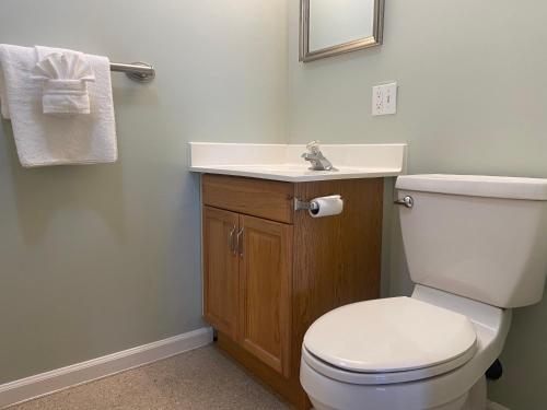 ein Badezimmer mit einer weißen Toilette und einem Waschbecken in der Unterkunft Gold Coast Family Cottages in Oscoda