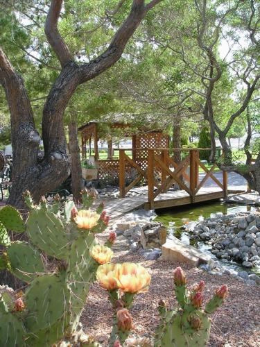 Preferred RV Resort – Photos 5