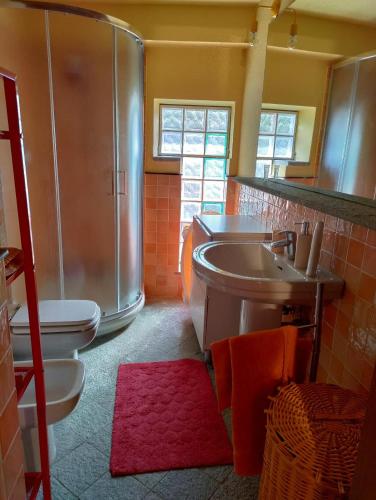 La salle de bains est pourvue d'une douche, de toilettes et d'un lavabo. dans l'établissement Il giardino di Alcesti, à Pino Torinese