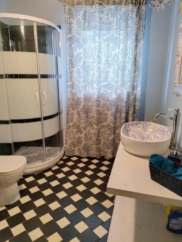een badkamer met een douche, een toilet en een wastafel bij Il giardino di Alcesti in Pino Torinese