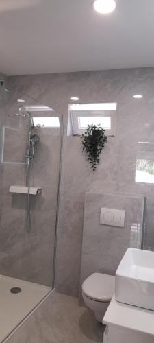 a bathroom with a shower and a toilet and a sink at Holiday house Stela in Gdinj