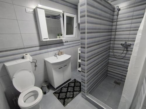 a bathroom with a toilet and a sink and a shower at Jaz Apartman in Bajina Bašta