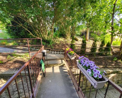 a walkway with two plants and flowers on it at Excellent apartments in Spa City Center 5 min walk from the Colonnade in Karlovy Vary