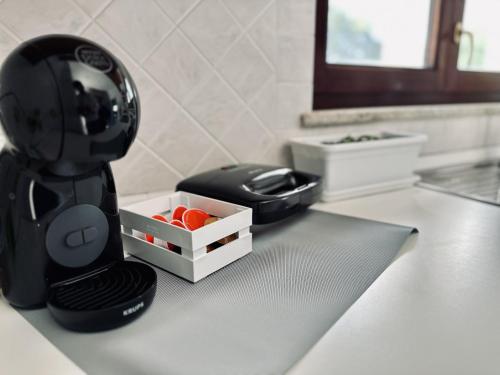 a black blender sitting on a counter with a box of fruit at Villetta S'Arenada in Golfo Aranci