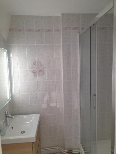 een badkamer met een douche en een wastafel bij superbe duplex avec parking gratuit in Grenoble