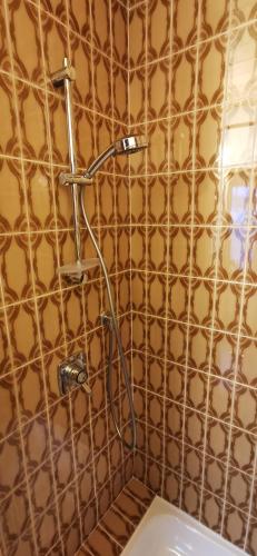 e bagno con doccia e parete piastrellata. di Haus Pyhrgasblick a Windischgarsten