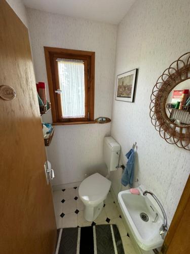 a small bathroom with a toilet and a sink at Kleines & feines Holzhaus in der Natur in Eschwege