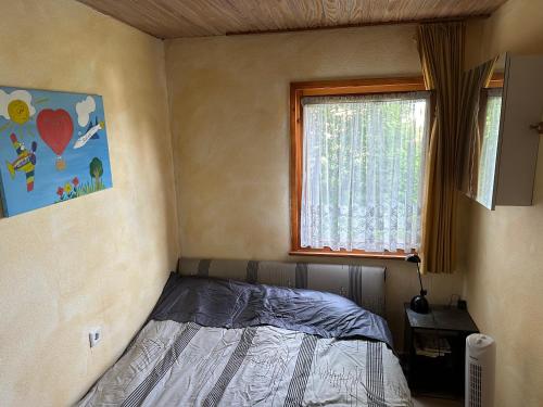 Schlafzimmer mit einem Bett und einem Fenster in der Unterkunft Kleines & feines Holzhaus in der Natur in Eschwege