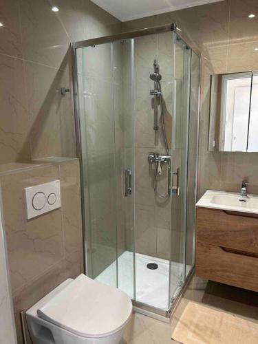 uma casa de banho com um chuveiro, um WC e um lavatório. em Studio rénové à deux pas de la mer em Vallauris
